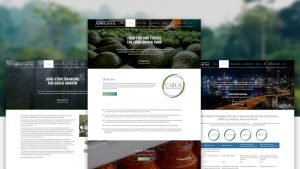 Website Design HK_ADMCapital_Responsive Website 2018_CheddarMedia_4_1760