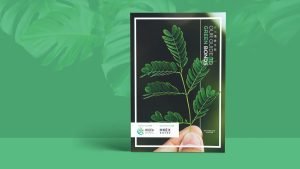 Branding Agency Hong Kong_HKGFA_Guideto Green Bond report design_CheddarMedia_1_1760