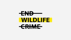 Branding Agency Hong Kong_EndWildlifeCrime_NGO Branding_CheddarMedia_4_1760