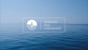 Branding Agency Hong Kong_SeafoodRiskAssessment_NGO Branding_CheddarMedia_1_1760