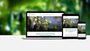 Website Design HK_CibusFund_Responsive Website_CheddarMedia_1_1760