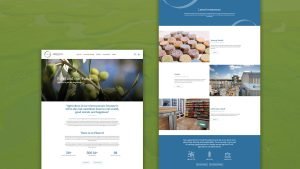 Website Design HK_CibusFund_Responsive Website_CheddarMedia_2_1760