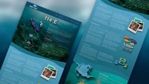 Website Design HK_HK 114e Reef Fish_Responsive Website_CheddarMedia_3_1760