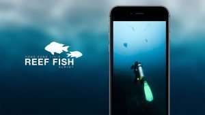 Website Design HK_HK 114e Reef Fish_Responsive Website_CheddarMedia_6_1760