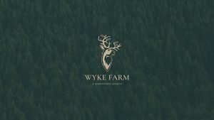 Branding Agency Hong Kong_WykeFarm_Corporate Identity Design_Cheddar Media_560x315