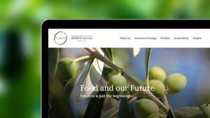 Website Design HK_CibusFund_Responsive Website_Cheddar Media_560x315