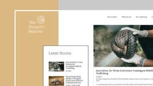 Website Design HK_PangolinReports_Responsive Website_Cheddar Media_560x315