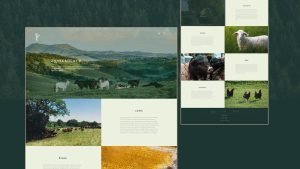 Website Design HK_WykeFarm_Responsive Website_CheddarMedia_05_1760